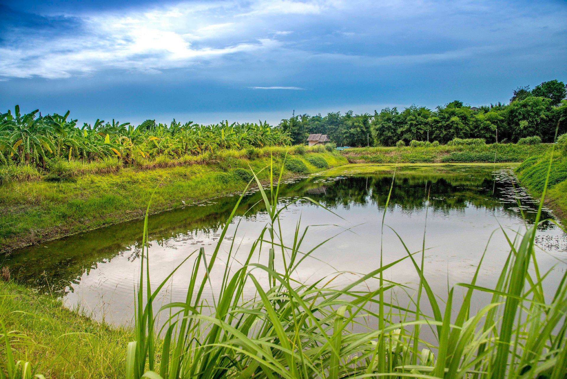 เกี่ยวกับฉมาออแกนิค