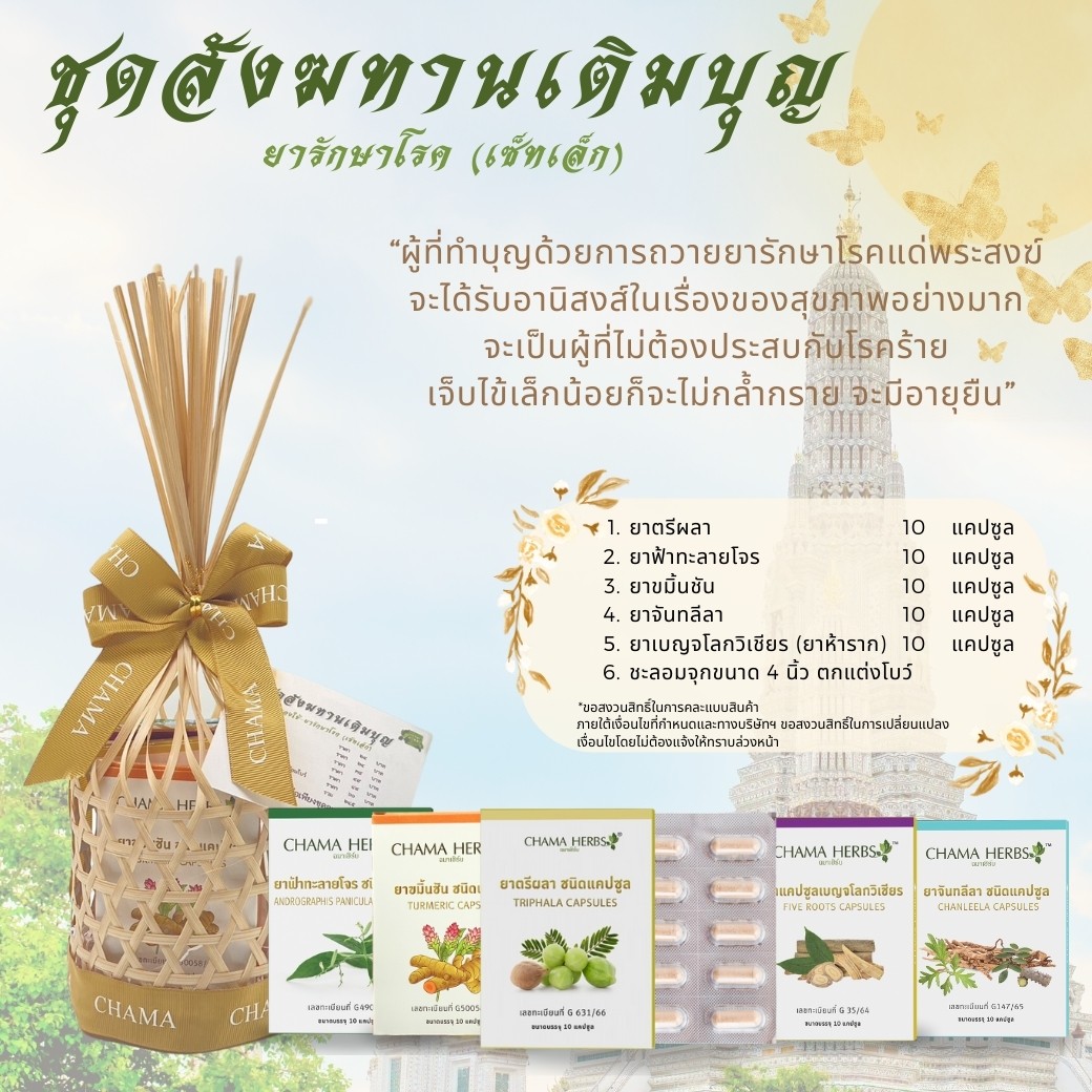 ชุดสังฆทานเติมบุญ (ยารักษาโรค)